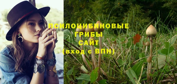 ПСИЛОЦИБИНОВЫЕ ГРИБЫ Алексеевка