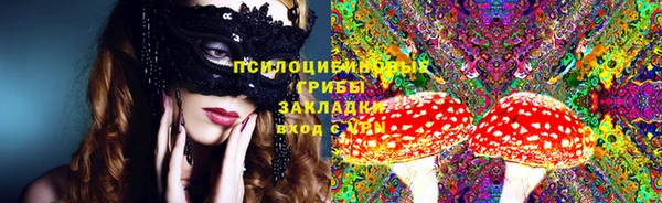 дживик Алзамай