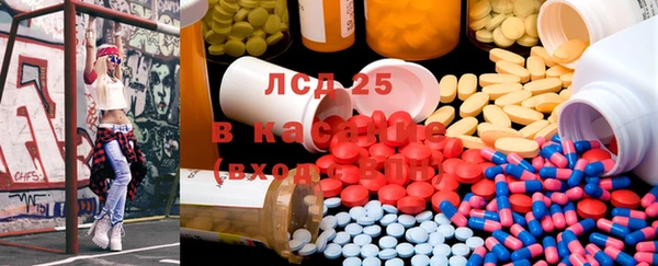 ПСИЛОЦИБИНОВЫЕ ГРИБЫ Алексеевка