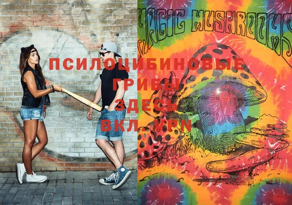 эйфоретик Алексин