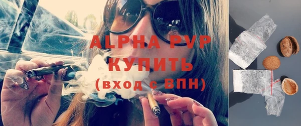 индика Абаза