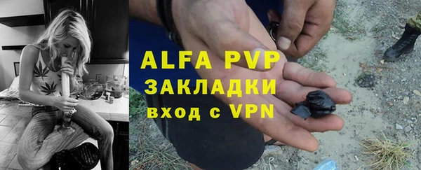 крисы Новозыбков