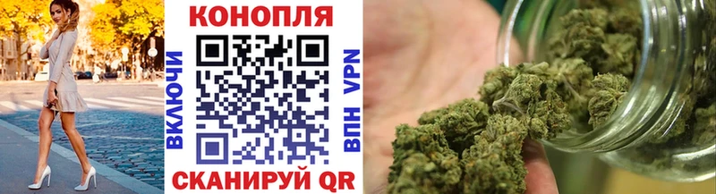 Бошки марихуана конопля Нелидово